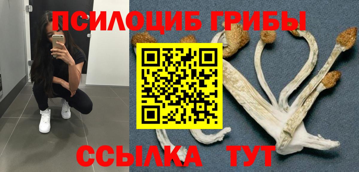 Псилоцибиновые грибы GOLDEN TEACHER  где найти   Белая Калитва  Вход с VPN 
